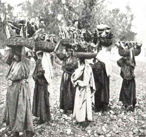 נשים בדואיות נושאות עצים להסקה 1893